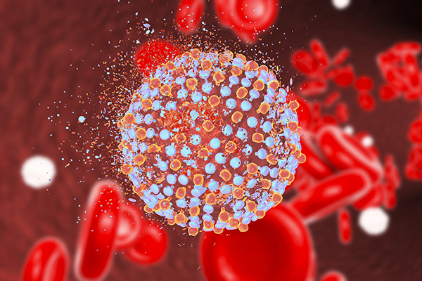 Computer image of the hepatitis C virus, photo by Kateryna Kon/Science Photo Library/Getty Images