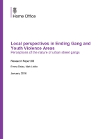 Cover: Local perspectives in Ending Gang and Youth Violence areas