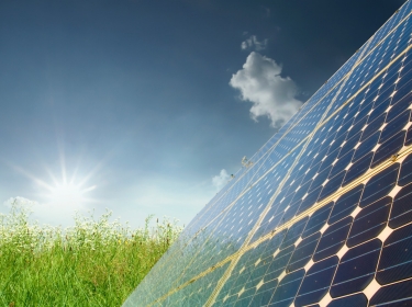 sun, grass, and solar panels