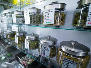 Selection of medical recreational cannabis at a legal retail store, photo by Kyle Taisacan/Adobe Stock