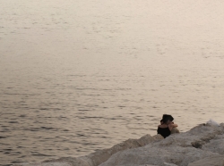 Two people embrace while sitting on a rocky shoreline and looking across the horizon, Antelias, Lebanon, May 2009, photo by Wael Morcos