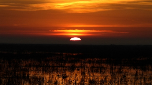 Sunrise over Louisiana wetlands