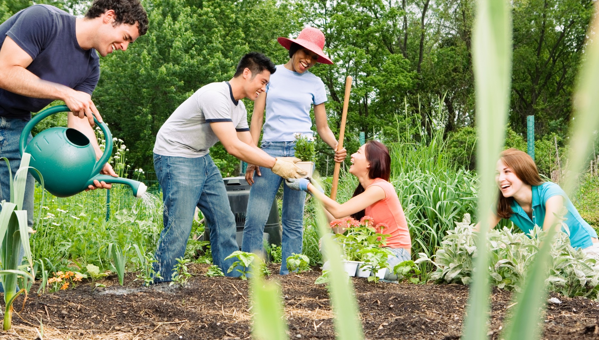 A group planting and watering a community garden