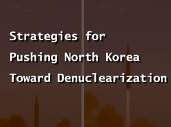 Strategies for Denuclearization