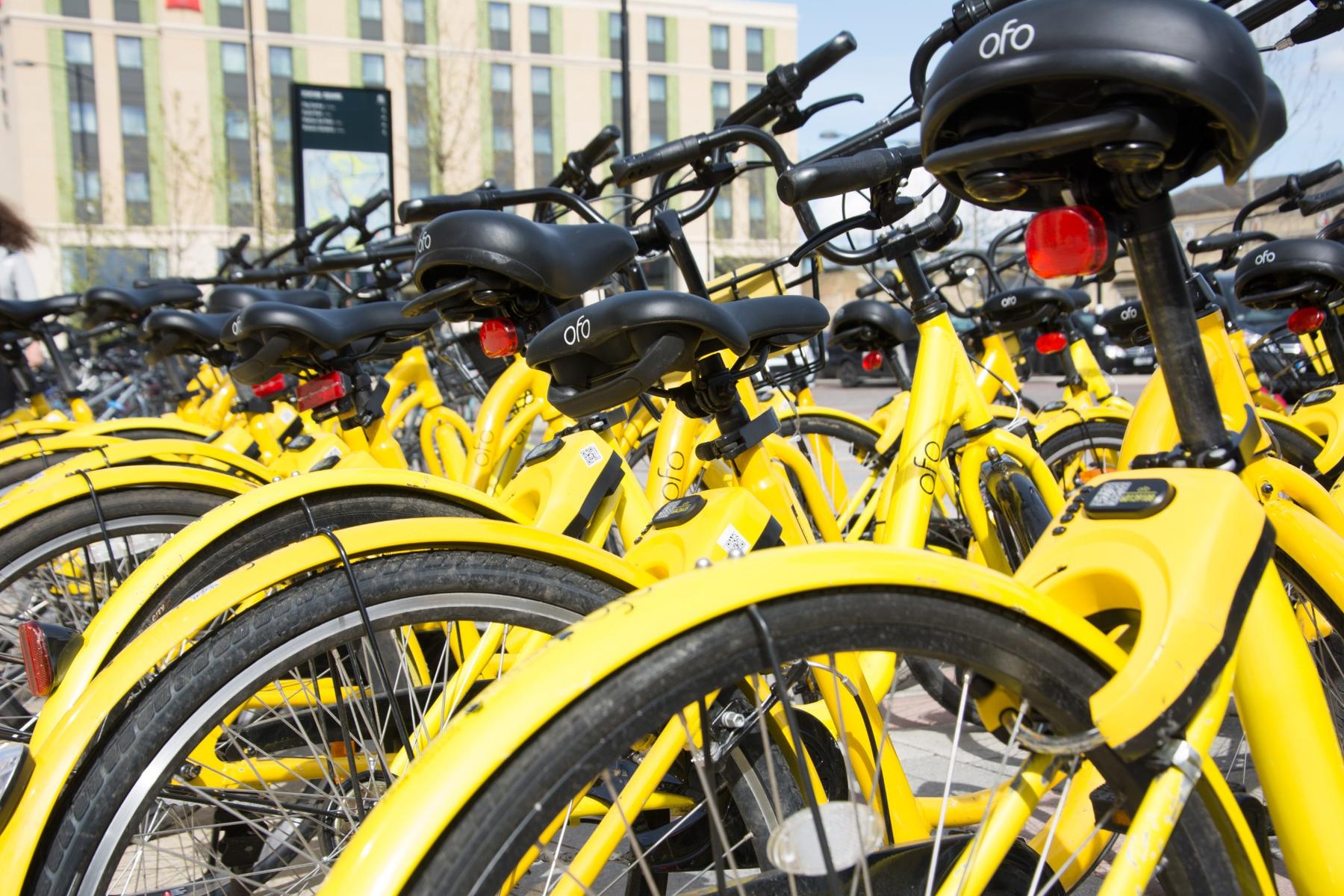 Urban ofo bike new arrivals