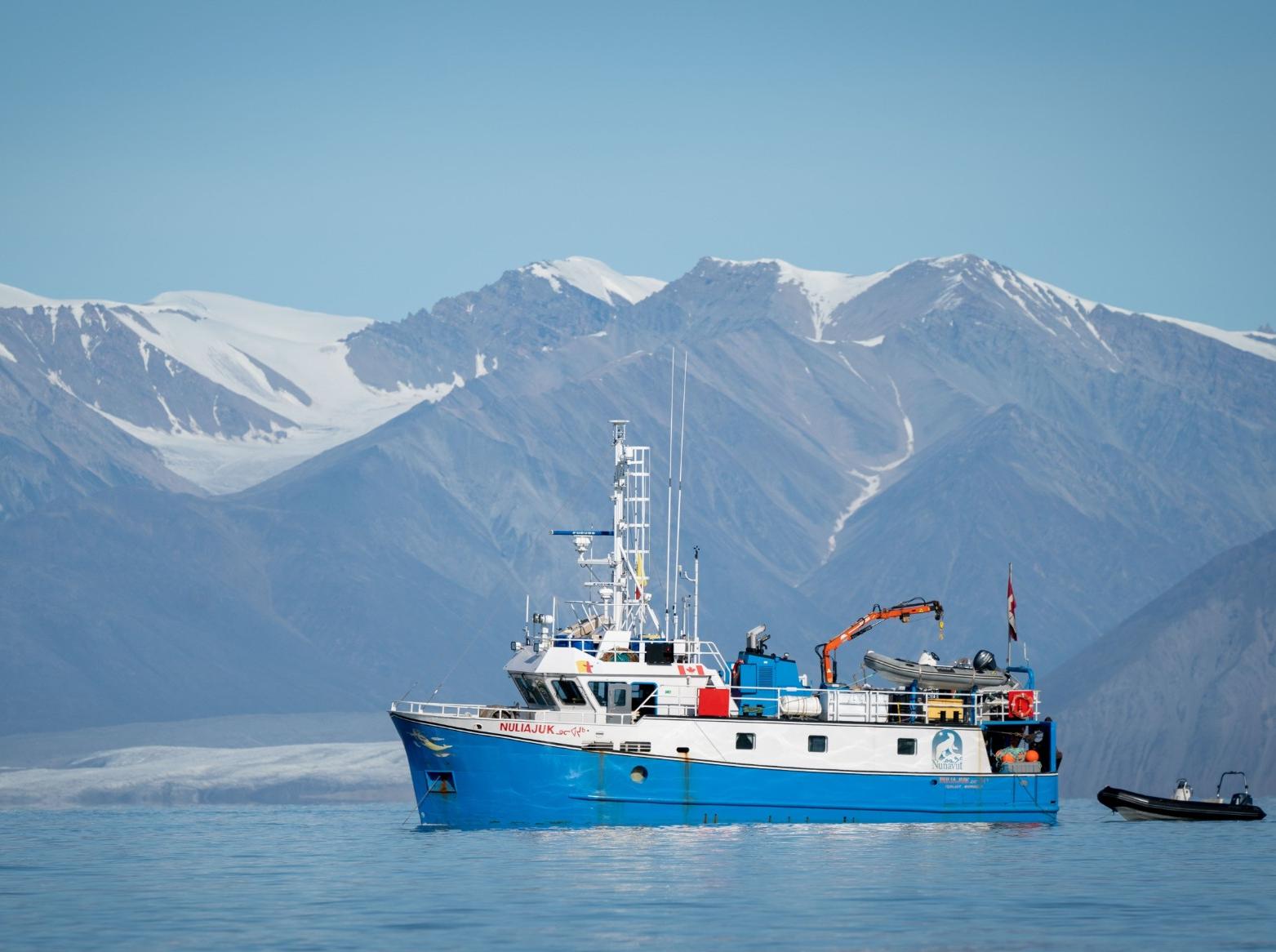 Solutions for commercial fishing