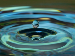 Closeup of water droplet landing in pool of water, photo by peter bocklandt/Getty Images