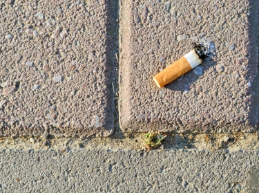 A cigarette butt in the street