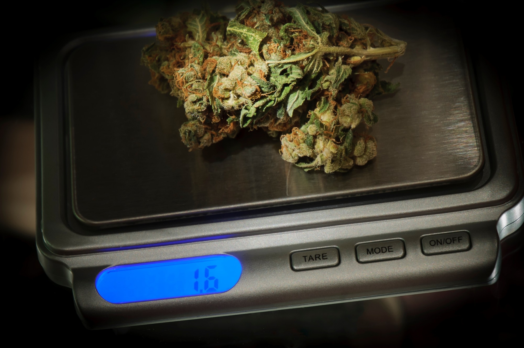 Не сколько хватает коробка марихуаны можно ли курить траву беременным