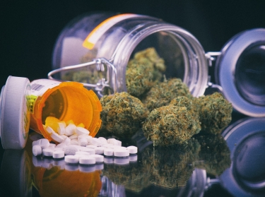 Cannabis buds and prescriptions pills