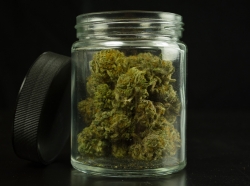 Open glass jar with cannabis inside