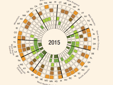2015 policy wheel of state policies related to substance use in pregnancy, image by the RAND Corporation
