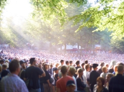 A huge crowd of people under trees on a sunny day