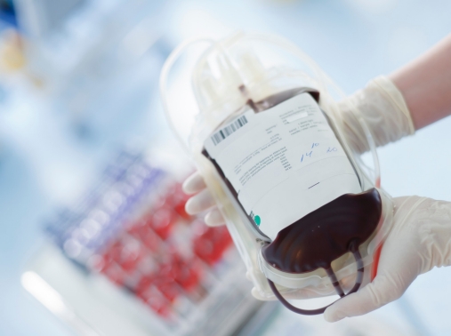 Gloved hands holding a blood transfusion bag