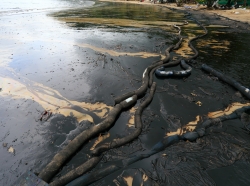 Crude oil spill on a beach