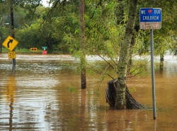 A picture of multiple street signs in a flood
