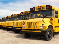 A row of yellow school buses lined up in a parking lot