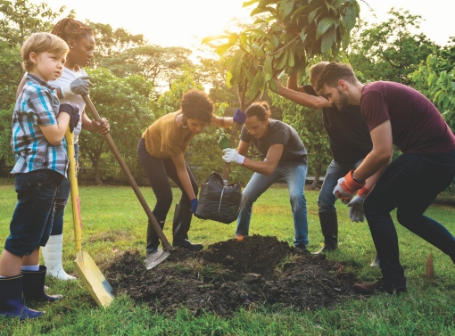 Group of people planting a tree together