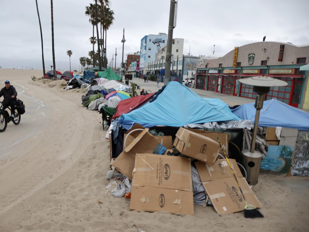 Recent Trends Among the Unsheltered in Three Los Angeles Neighborhoods ...