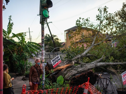 People talk outside of Flora Gallery and Coffee Shop near a downed tree in the street after Hurricane Zeta swept through New Orleans, Louisiana, October 29, 2020