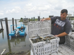 Crab fisherman Mike Taylor Jr. shows his catch of blue crabs in Pointe a la Hache near New Orleans, US, 6 April 2015. 20 April 2015 marks the 5th anniversary of the Deepwater Horizon catastrophe in the Gulf of Mexico which took place on 20 April 2010. Photo by Johannes Schmitt-Tegge/dpa/Alamy Live New