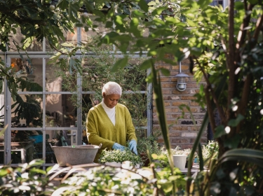 An elderly black woman doing gardening at an outdoor table, surrounded by green plants. Photo by SolStock / Getty Images