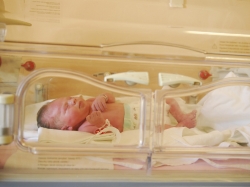 Neonate in incubator