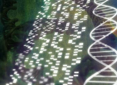 DNA sequence code digital