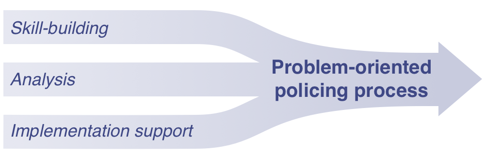 Skill-building, analysis, and execution support are the three inputs to successful problem-oriented policing.