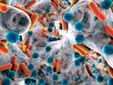Biofilm of antibiotic resistant bacteria, closeup view