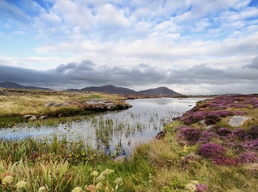 Moorland near Daliburgh in South Uist, The Outer Hebrides
