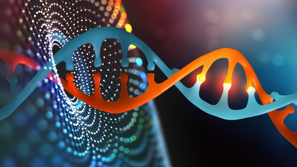 Illustration of a DNA double helix, by by Siarhei/Adobe Stock
