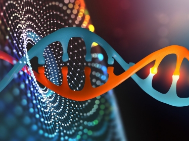 Illustration of a DNA double helix, by by Siarhei/Adobe Stock