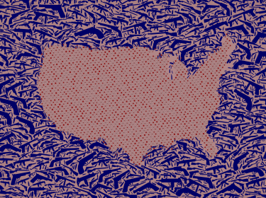 Map of the United States created with guns and dots.