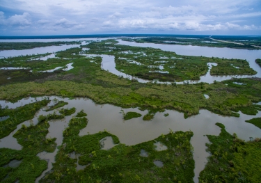 Aerial shot of coastal wetlands, Louisiana