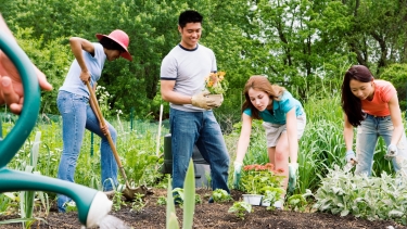 A group of people planting in a community garden