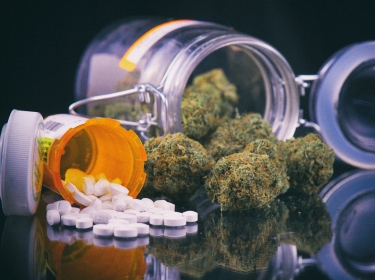 Cannabis buds and prescriptions pills