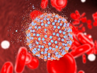 Computer image of the hepatitis C virus,